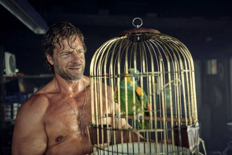 Produktbild: Der K&ouml;nig von Palma - Staffel 2 [2 DVDs]