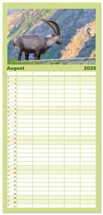 Produktbild: Familienplaner 2026 - Bergk&ouml;nige - Steinb&ouml;cke im Blickpunkt der Naturfotografie mit 5 Spalten (Wandkalender, 21 x 45 cm) CALVENDO