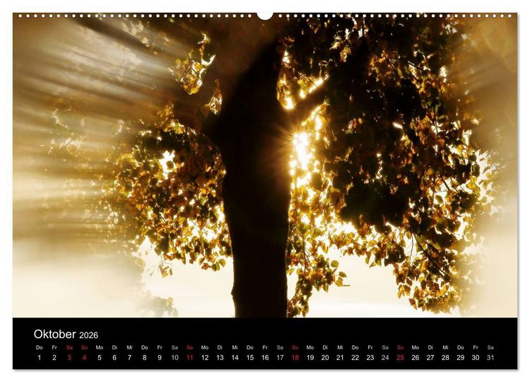 Produktbild: Baumportr&auml;ts 2026 (hochwertiger Premium Wandkalender 2026 DIN A2 quer), Kunstdruck in Hochglanz