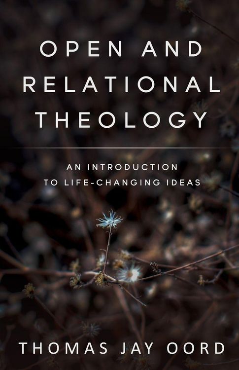 Produktbild: Open and Relational Theology