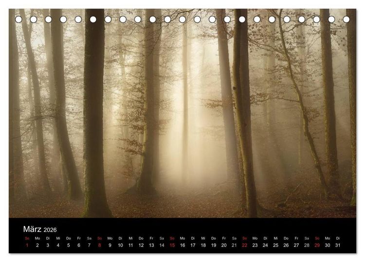 Produktbild: Mysterium Wald (Tischkalender 2026 DIN A5 quer), CALVENDO Monatskalender