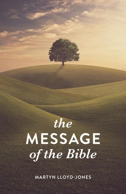 Produktbild: The Message of the Bible (25-Pack)