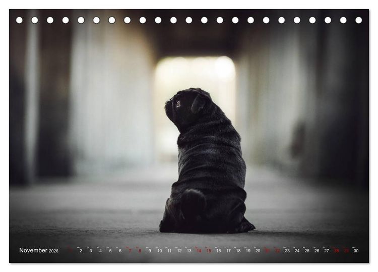 Produktbild: Diesels Welt (Tischkalender 2026 DIN A5 quer), CALVENDO Monatskalender