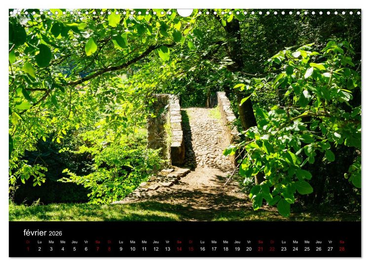 Produktbild: Nature sud de la France (Calendrier mural 2026 DIN A3 vertical), CALVENDO calendrier mensuel