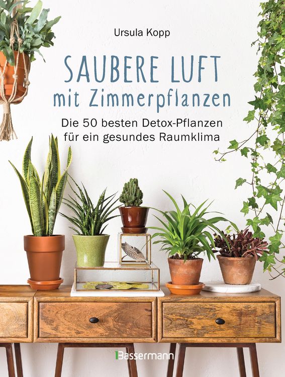 Produktbild: Saubere Luft mit Zimmerpflanzen