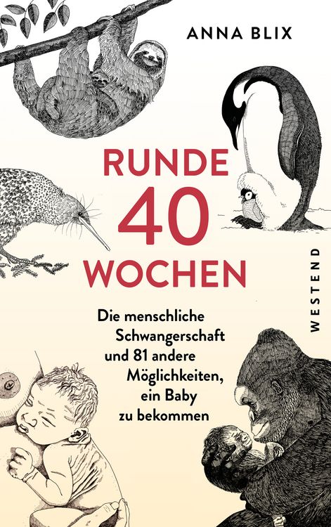 Produktbild: Runde 40 Wochen