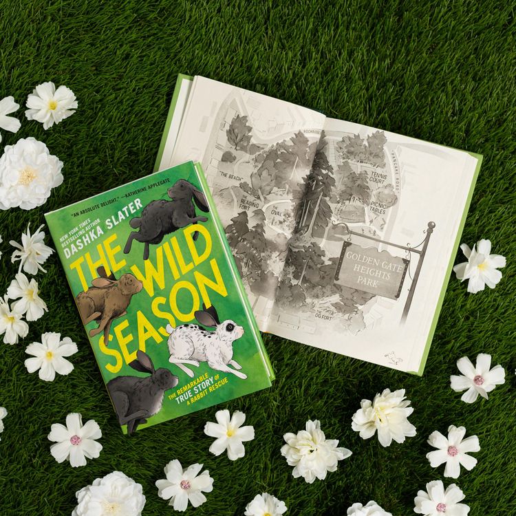 Produktbild: The Wild Season