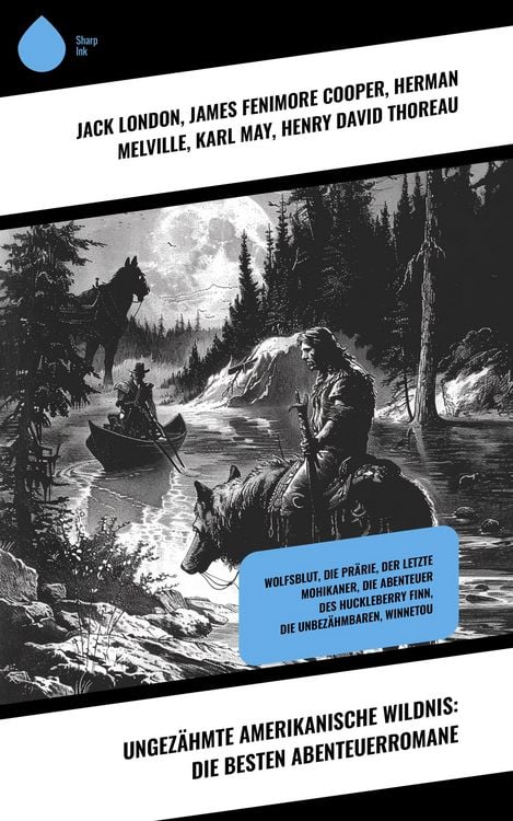 Ungezähmte amerikanische Wildnis: Die besten Abenteuerromane