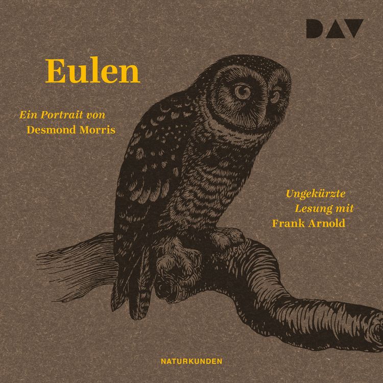Produktbild: Eulen. Ein Portrait