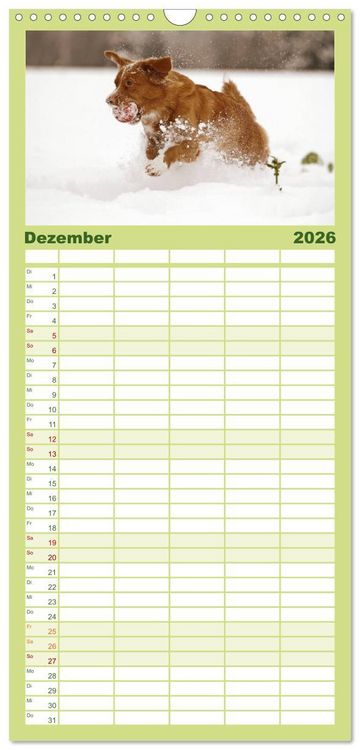 Produktbild: Familienplaner 2026 - Nova Scotia Duck Tolling Retriever mit 5 Spalten (Wandkalender, 21 x 45 cm) CALVENDO