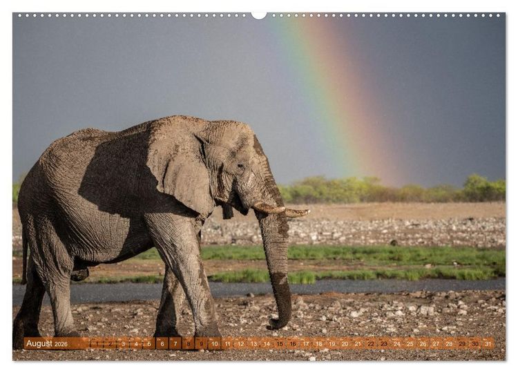 Produktbild: Das s&uuml;dliche Afrika 2026 (hochwertiger Premium Wandkalender 2026 DIN A2 quer), Kunstdruck in Hochglanz