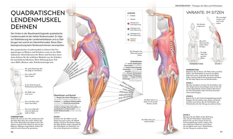 Produktbild: Stretching - Die Anatomie verstehen
