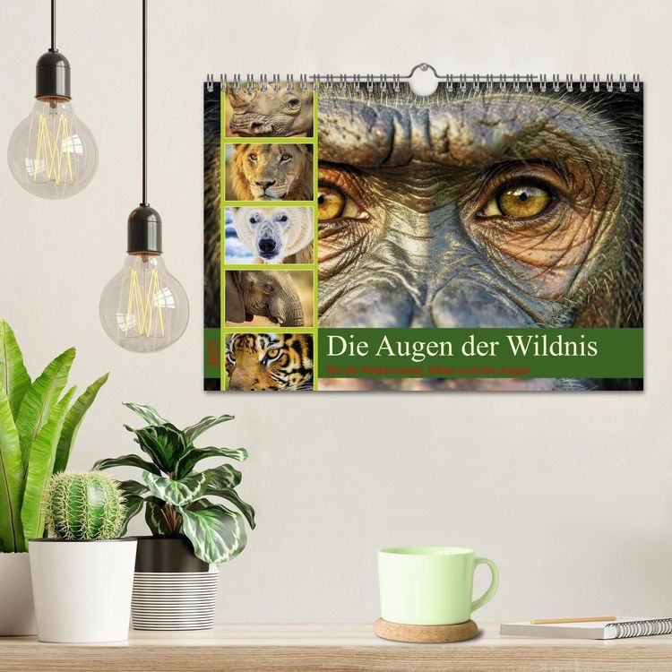 Produktbild: Die Augen der Wildnis (Wandkalender 2027 DIN A4 quer), CALVENDO Monatskalender
