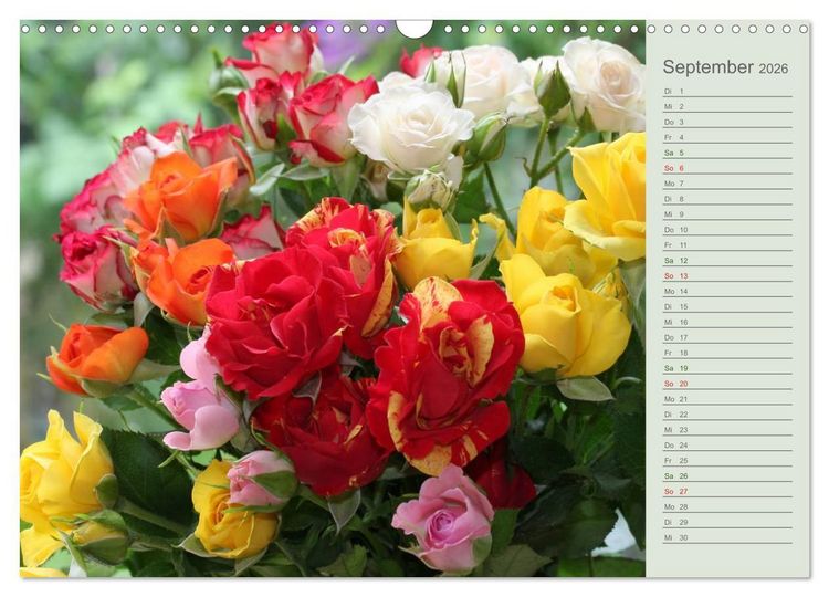 Produktbild: Rosen, Rosen ... arrangiert und am Strauch (Wandkalender 2026 DIN A3 quer), CALVENDO Monatskalender