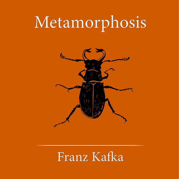 Produktbild: Metamorphosis