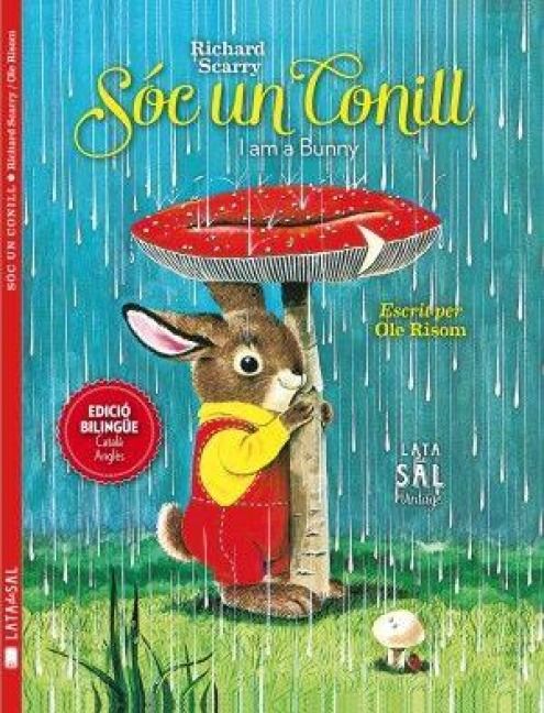 Produktbild: S&oacute;c un conill