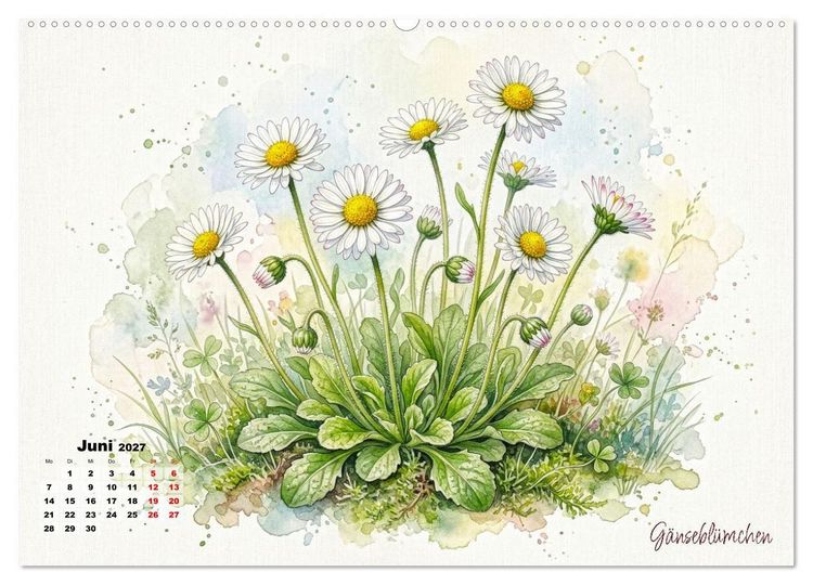 Produktbild: Wilde Kostbarkeiten &ndash; Essbar, gesund & wundersch&ouml;n (Wandkalender 2027 DIN A2 quer), CALVENDO Monatskalender