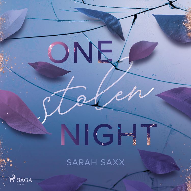 Produktbild: One Stolen Night
