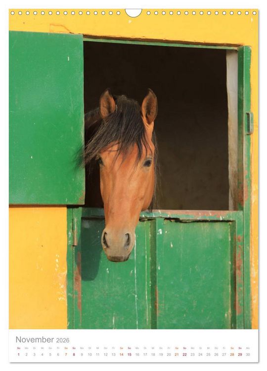 Produktbild: Caballos - Die sch&ouml;nen Pferde Spaniens (Wandkalender 2026 DIN A3 hoch), CALVENDO Monatskalender