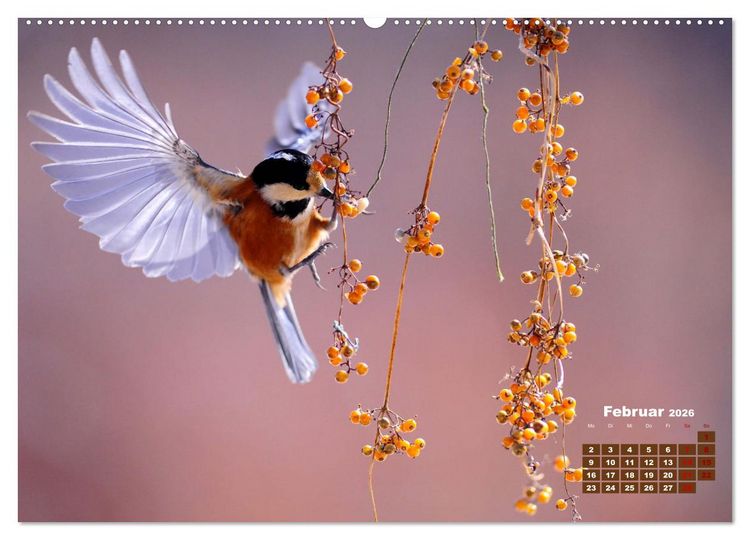 Produktbild: Tiere in freier Wildbahn by VogtArt (hochwertiger Premium Wandkalender 2026 DIN A2 quer), Kunstdruck in Hochglanz