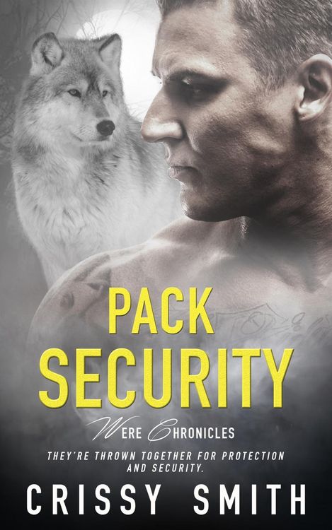 Produktbild: Pack Security