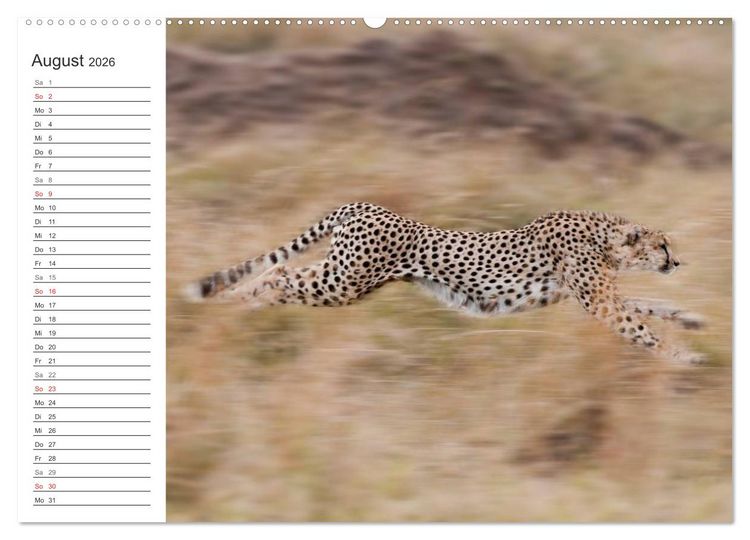 Produktbild: Emotionale Momente: Mein wildes Afrika (Wandkalender 2026 DIN A2 quer), CALVENDO Monatskalender
