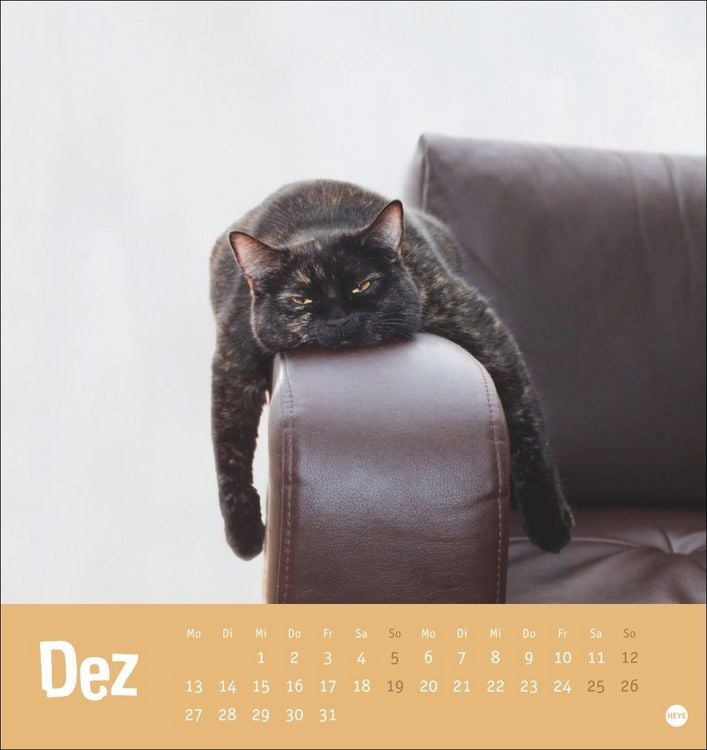 Produktbild: Tierisch entspannte Katzen Postkartenkalender 2027