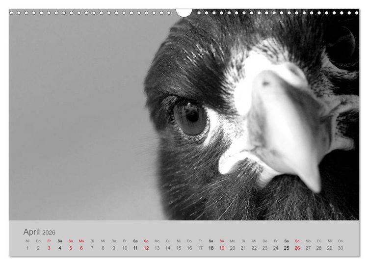 Produktbild: Die Seelen der wilden Tiere (Wandkalender 2026 DIN A3 quer), CALVENDO Monatskalender