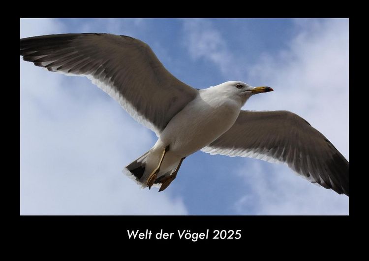 Produktbild: Welt der V&ouml;gel 2025 Fotokalender DIN A3