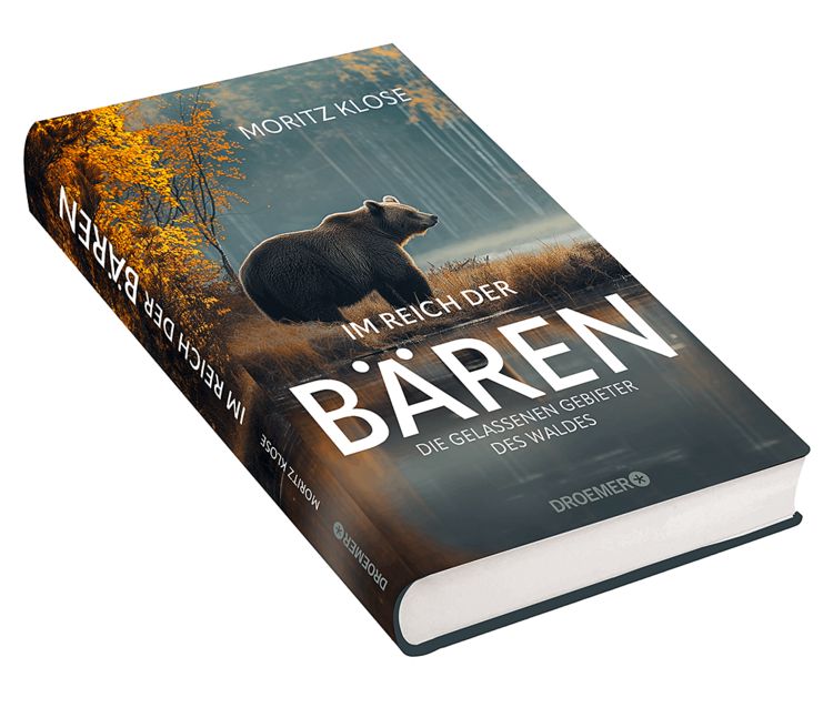 Produktbild: Im Reich der B&auml;ren