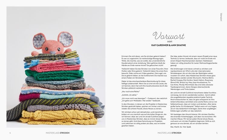 Produktbild: Masterclass Stricken