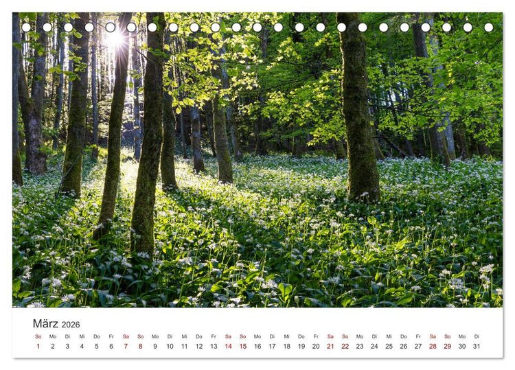 Produktbild: Sauerland - hier muss man mal gewesen sein (Tischkalender 2026 DIN A5 quer), CALVENDO Monatskalender