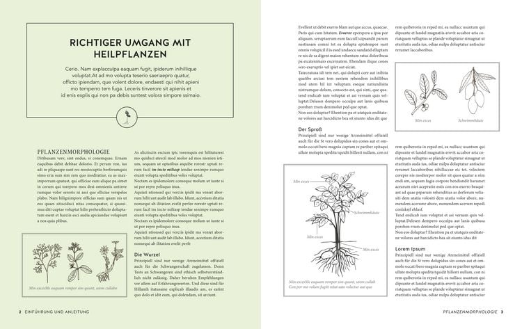Produktbild: Das gro&szlig;e Buch der Heilpflanzen