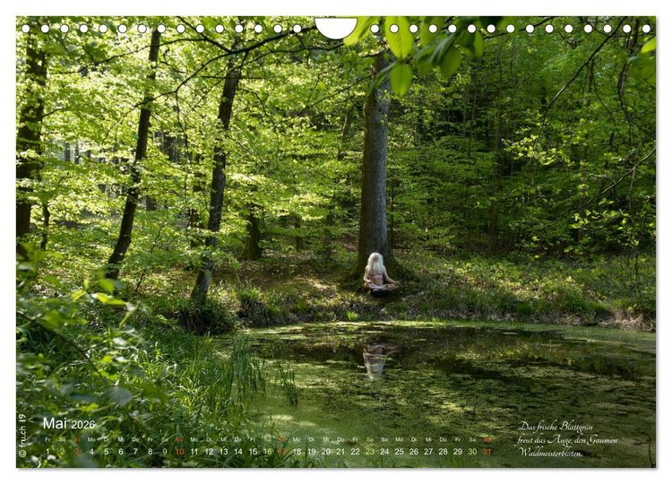 Produktbild: HAIKU AM TEICH (Wandkalender 2026 DIN A4 quer), CALVENDO Monatskalender