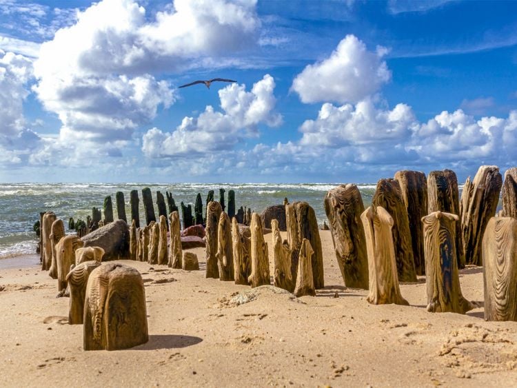Produktbild: CALVENDO Puzzle Buhnen am Sandstrand von Sylt | 1000 Teile Lege-Gr&ouml;&szlig;e 64x48cm Foto-Puzzle f&uuml;r gl&uuml;ckliche Stunden