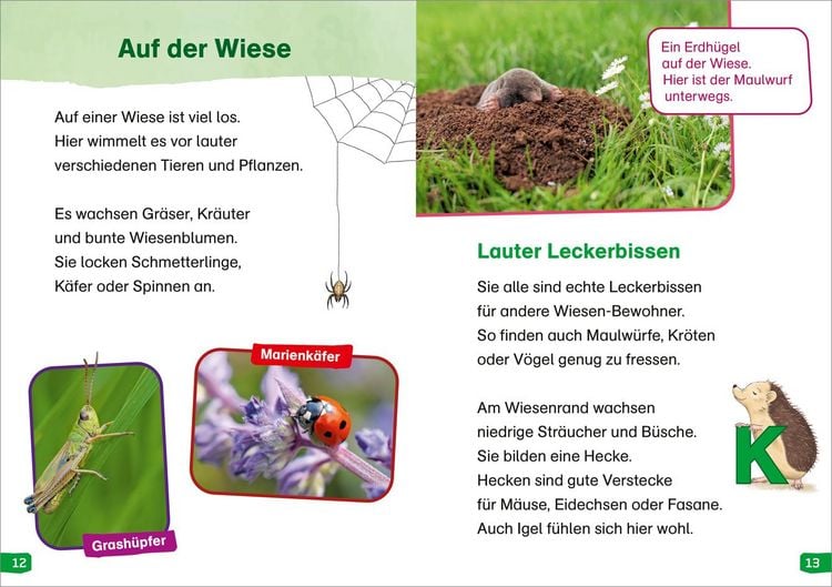 Produktbild: WAS IST WAS Erstes Lesen easy! Band 11. Raus in die Natur