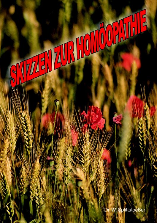 Produktbild: Skizzen zur Hom&ouml;opathie