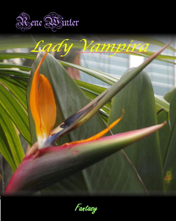 Produktbild: Lady Vampira
