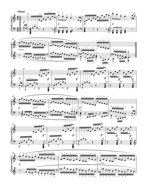 Produktbild: S&auml;mtliche Sonaten f&uuml;r Klavier, Band 2