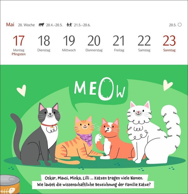 Produktbild: Unn&uuml;tzes-Wissen-Quiz Katzen Premium-Postkartenkalender 2027 - Kalender mit 53 R&auml;tselkarten