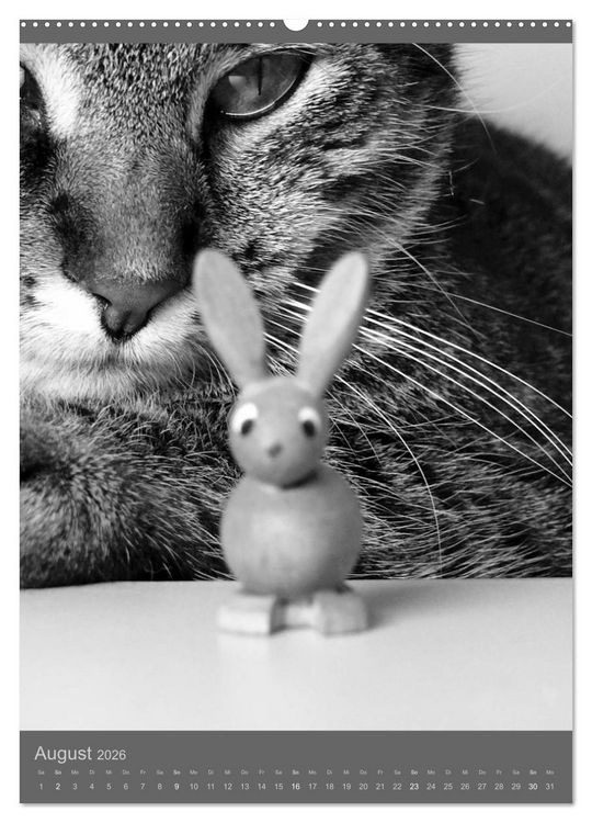 Produktbild: Sonja Heller Katzen in SW-Portraits (hochwertiger Premium Wandkalender 2026 DIN A2 hoch), Kunstdruck in Hochglanz