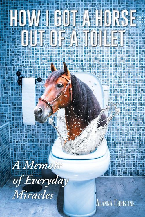 Produktbild: How I Got a Horse Out of a Toilet