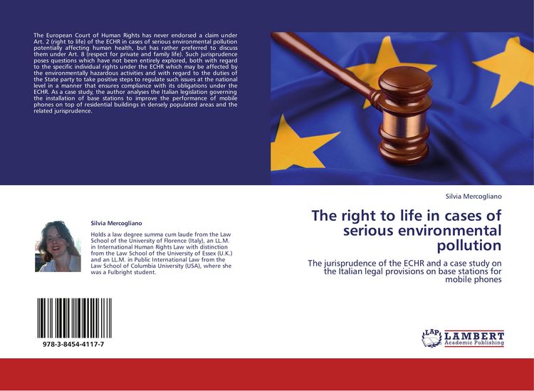 Produktbild: The right to life in cases of serious environmental pollution