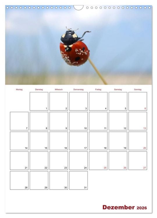 Produktbild: Marienk&auml;fergl&uuml;ck (Wandkalender 2026 DIN A3 hoch), CALVENDO Monatskalender