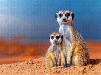 Produktbild: CALVENDO Puzzle Ein unglaublich beeinruckendes Bild | 1000 Teile Lege-Gr&ouml;&szlig;e 64x48cm Foto-Puzzle f&uuml;r gl&uuml;ckliche Stunden