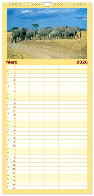 Produktbild: Familienplaner 2026 - Elefanten in der Serengeti mit 5 Spalten (Wandkalender, 21 x 45 cm) CALVENDO