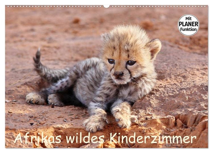 Produktbild: Afrikas wildes Kinderzimmer (Wandkalender 2026 DIN A2 quer), CALVENDO Monatskalender