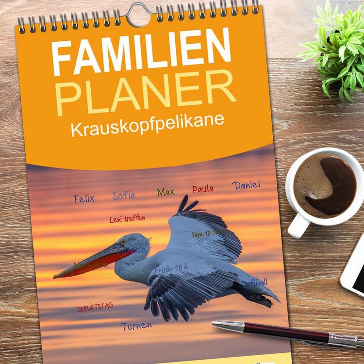 Produktbild: Familienplaner 2026 - Krauskopfpelikane mit 5 Spalten (Wandkalender, 21 x 45 cm) CALVENDO