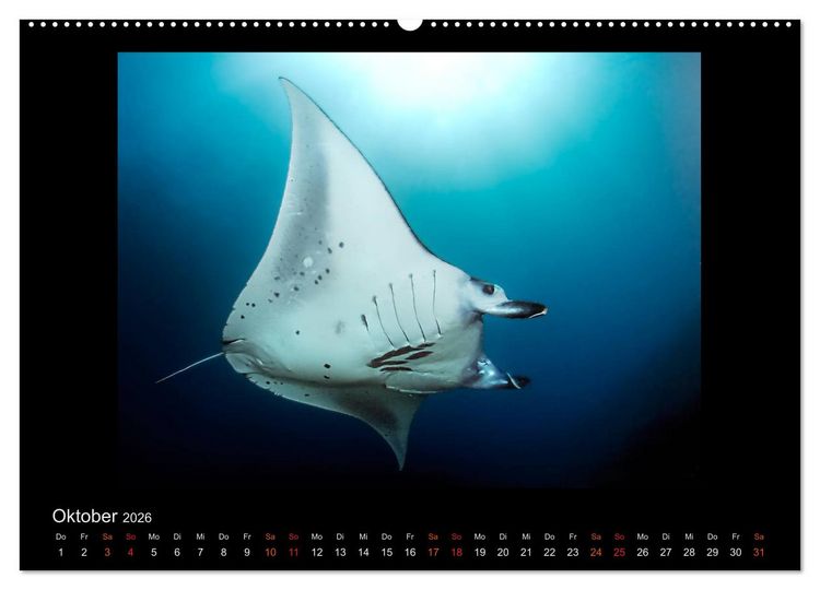 Produktbild: Ocean-Art / CH-Version (hochwertiger Premium Wandkalender 2026 DIN A2 quer), Kunstdruck in Hochglanz