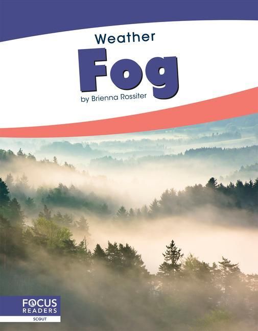 Produktbild: Fog